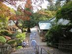 2024-11-7shikokugoshiki82-82-7.jpg