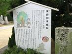 2024-11-7shikokugoshiki83-13.jpg