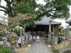 2024-11-7shikokugoshiki83-14.jpg