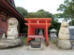 2024-11-7shikokugoshiki84-3.jpg