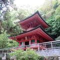 四国八十八ケ所霊場巡拝<第85番~第88番>
