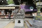 2024-11-7shikokugoshiki85-6.jpg