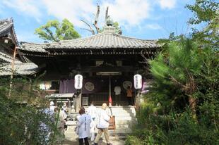 2024-11-7shikokugoshiki86-5.jpg
