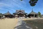 2024-11-7shikokugoshiki87-3.jpg