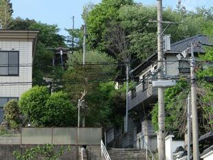 2025-5-1inaba22.jpg