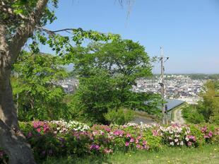 2025-5-1kagurao11.jpg