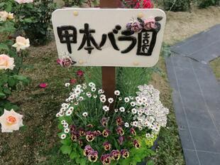 2025-5-21koumotobara16.jpg