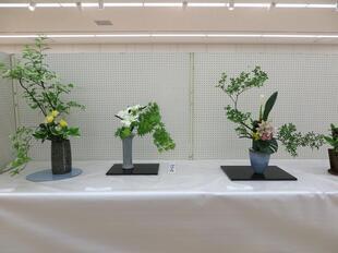 2025-5-24tsuyamageijyutsuFesta27.JPG