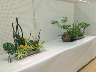 2025-5-24tsuyamageijyutsuFesta43.JPG