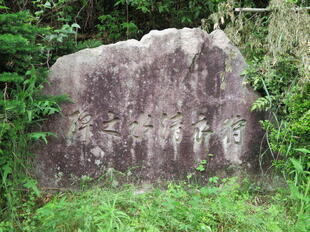 2025-5-17kariginu9.jpg