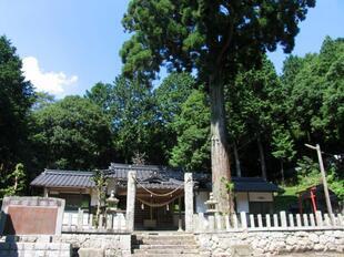 2011-7-10dainichiji.jpg