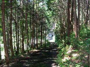 2011-7-10dainichiji2.jpg