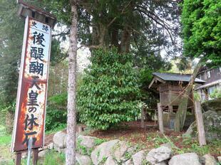 2025-5-18godaigo-ishi15.jpg