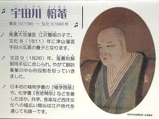 2025-6yougaku_op3.jpg