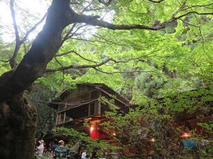 2025-7-20yokono21.jpg