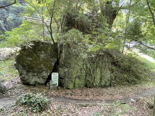 2025-7-9ryugu16.jpg