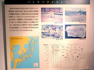 2025-8-6inseki17.jpg