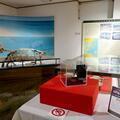 津山郷土博物館で「スライスされた隕石展示」を初めてみました。