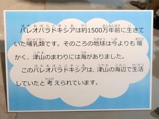 2025-8-6inseki23.jpg
