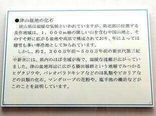 2025-8-6inseki4.jpg