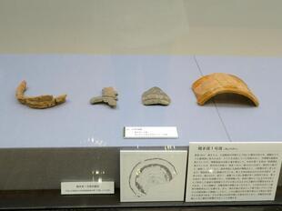 mimasaka_kofun131.jpg