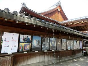 tsuyama_izumotaisya14.jpg
