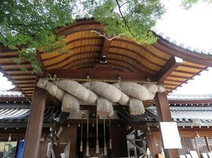 tsuyama_izumotaisya5.jpg