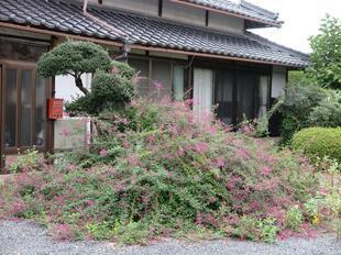 2025-9-25yasuda2.jpg