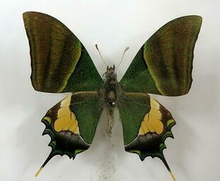 2025-10-12cyo6.jpg