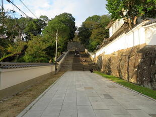 2025-10-12shiroshita1.jpg
