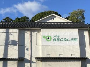 fushigikan2.jpg