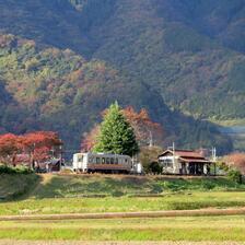 2025 因美線「美作滝尾駅」の秋