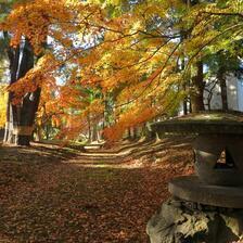 2025  衆楽園のもみじの紅葉