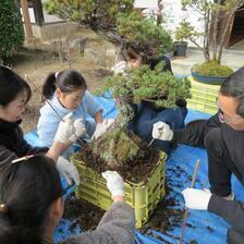 「津山まち博」愛染寺で盆栽の植替え・剪定体験
