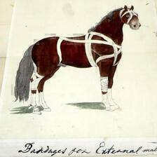 津山洋学資料館  前期企画展「資料が秘めた物語Ⅵ」