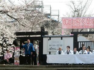 2026-3-28sakura_open33.jpg