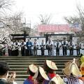 「津山さくらまつり」オープニングの様子