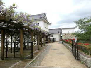2026-4-20kakuzan_fuji19.jpg