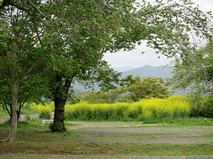 2026-4-20kakuzan_fuji35.jpg