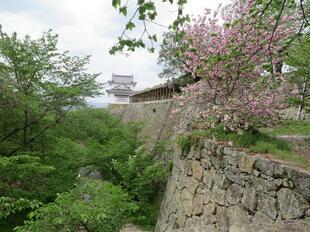 2026-4-20kakuzan_fuji41.jpg