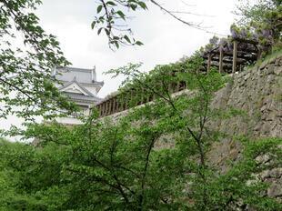 2026-4-20kakuzan_fuji45.jpg