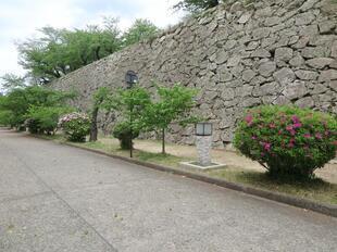 2026-4-20kakuzan_fuji51.jpg