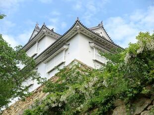 2026-4-20kakuzan_fuji7.jpg