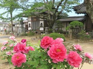 2026-4-21aizenji17.jpg
