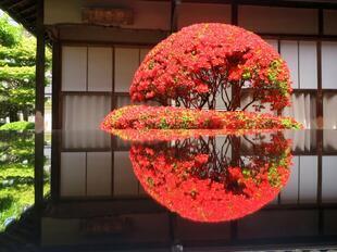 2026-4-21aizenji85.jpg