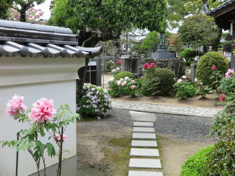 愛染寺の「牡丹の花と仏画展」