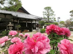 2026-4-22aizenji10.jpg