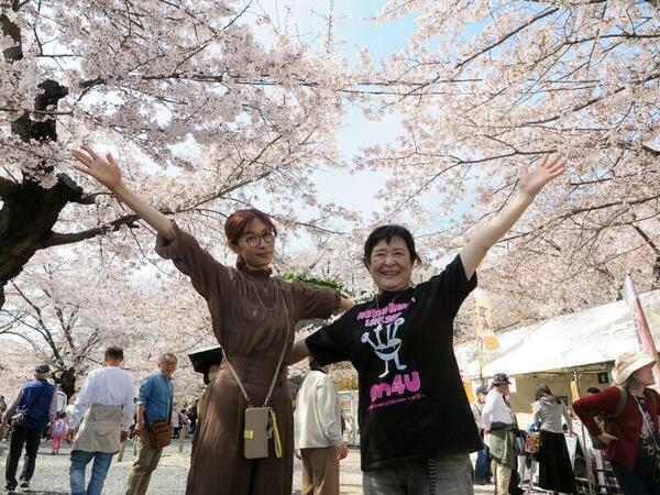2026 満開の津山城（鶴山公園）のさくら