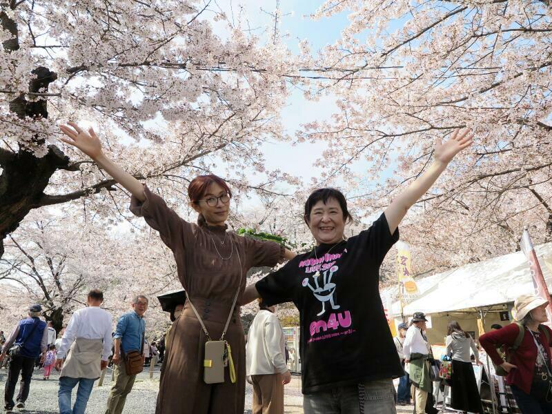 2026 満開の津山城（鶴山公園）のさくら