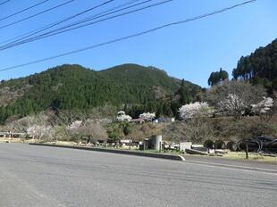 2026-4-8kawai5.jpg